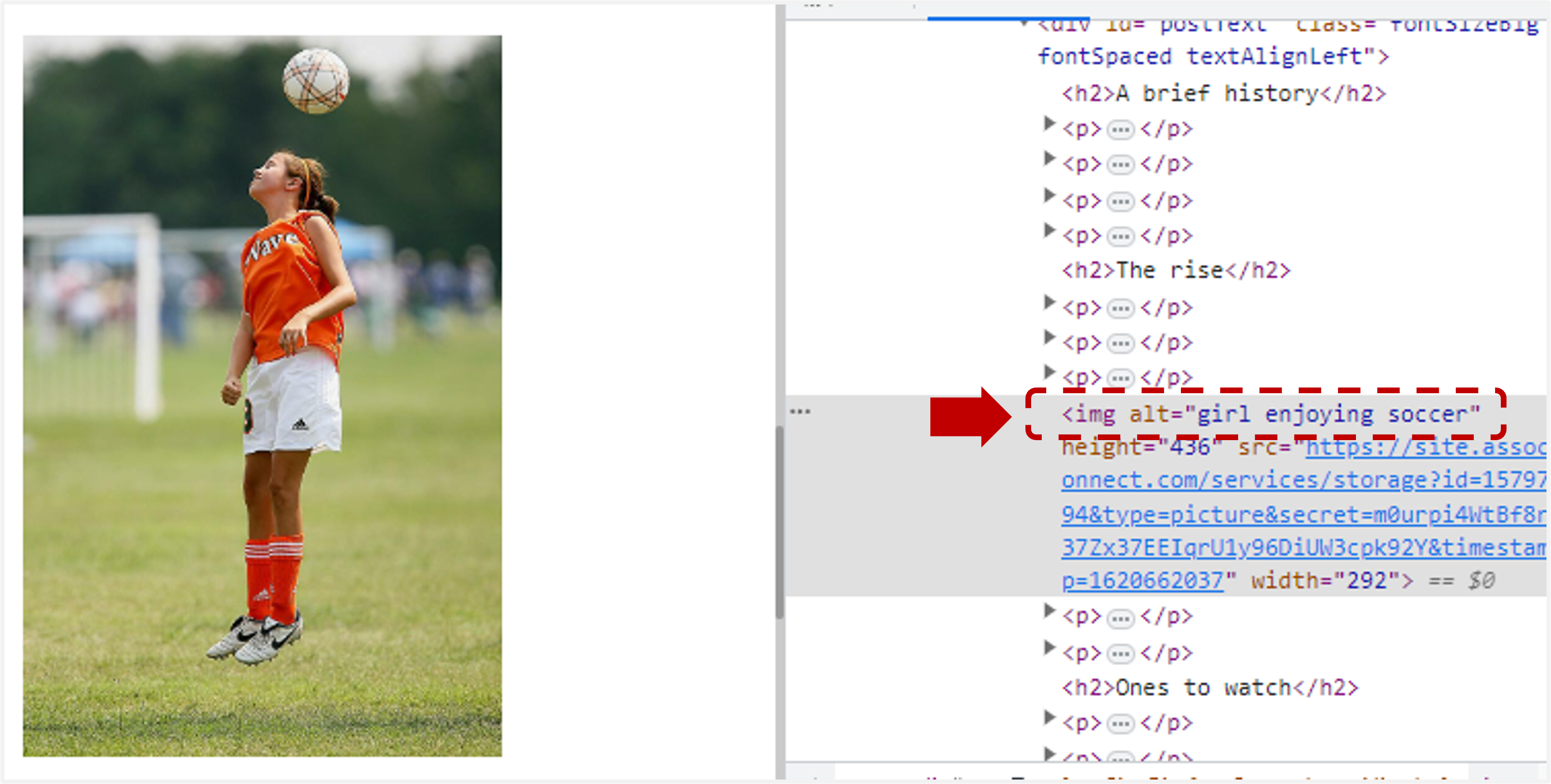 seo6.png