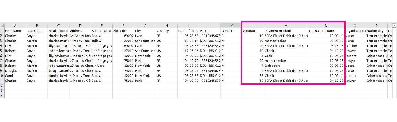 add_multiple_donors_via_excel_import_-_excel_sheet_columns.png